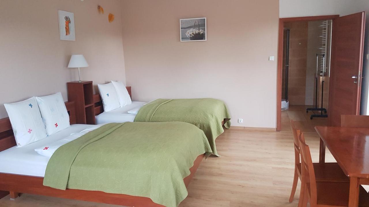 Willa Moja Gawra Lądek-Zdrój Exterior foto